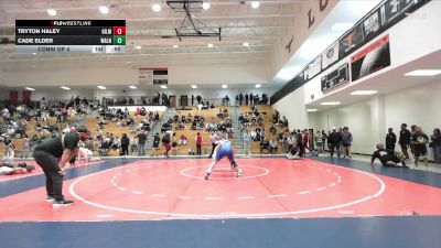 157 lbs Consi Of 4 - Tryton Haley, Gilmer Bobcat Wrestling vs Cade Elder, Walnut Grove Wrestling Club