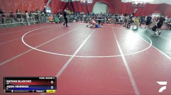 182 lbs Cons. Round 3 - Nathan Blaschke, WI vs Aiden Hennings, IL