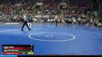 195 lbs Semifinal - Gabe Lyons, Lisbon vs Brayden Selzler, Velva