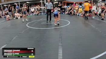 76 lbs Semis (4 Team) - Desmond Tomaino, Elite Squeeze vs Brandon Flamini, Mat Warriors