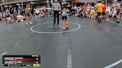 76 lbs Semis (4 Team) - Desmond Tomaino, Elite Squeeze vs Brandon Flamini, Mat Warriors