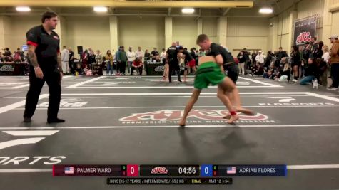Palmer Ward vs Adrian Flores 2025 ADCC Charlotte Open