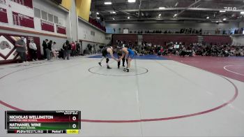 175 lbs Cons. Round 5 - Nathaniel Wine, Marana High School vs Nicholas Wellington, Hamilton High School