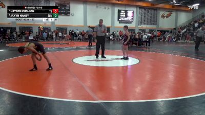 83 lbs Quarterfinal - Jaxyn Haney, Storm Wrestling Academy vs Hayden Cushion, The Royal