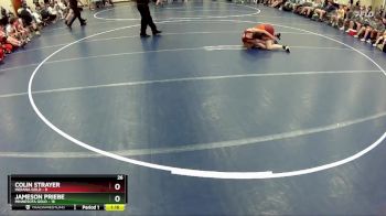 117 lbs Quarterfinals (8 Team) - Jameson Priebe, Minnesota Gold vs Colin Strayer, Indiana Gold