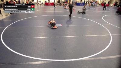 10U GIRLS - 67 lbs Cons. Round 1 - Alexys Wendt, Minnesota vs Ariana Callies, MN Elite Wrestling Club