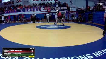 235 lbs Quarterfinal - Varzidy Batchelor, Northview vs Aubrey Bartkowiak, Attica