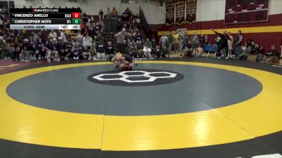 132 lbs Cons. Semi - Vincenzo Anello, Blair Academy vs Christopher Noto, Honeoye Falls-Lima