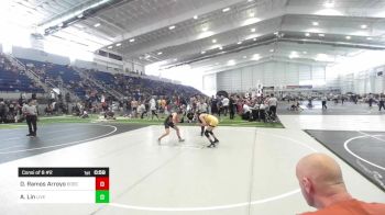 101 lbs Consi Of 8 #2 - Dalianys Ramos Arroyo, Bobcat WC vs Avery Lin, Livewire