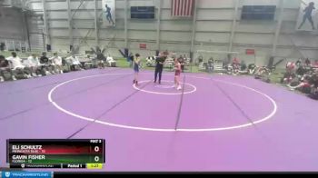 88 lbs Placement Matches (8 Team) - Eli Schultz, Minnesota Blue vs Gavin Fisher, Florida