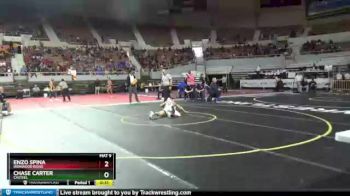 D2-113 lbs 3rd Place Match - Enzo Spina, Ironwood Ridge vs Chase Carter, Casteel