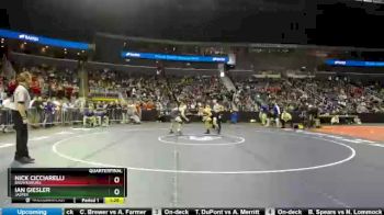 152 lbs Quarterfinal - Nick Cicciarelli, Brownsburg vs Ian Giesler, Jasper