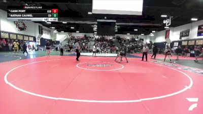 138 lbs Semifinal - Cash Port, Aliso Niguel vs Nathan Cauwel, Chino