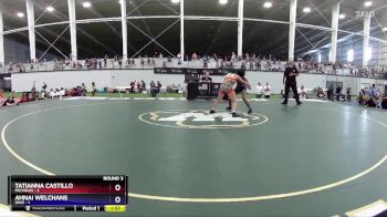 108 lbs Round 3 (6 Team) - Tatianna Castillo, Michigan vs Ahnai Welchans, Ohio