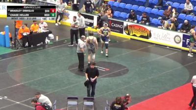 212 lbs Quarterfinal - Bradley Dimiglio, Quakertown vs Chase Heller, Mount Carmel