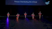 Princess Cheerleading Mini (China) [2025 WSPC - Junior High - Pom Exhibition] 2025 UDA National Dance Team Championship