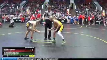 102 lbs Quarterfinals (8 Team) - Nathen Wieland, South Lyon Matcats vs Wyatt Cross, Davison