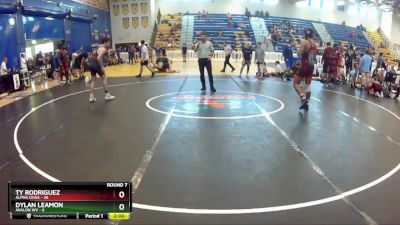 165 lbs Round 7 (8 Team) - Dylan Leamon, Avalon WV vs Ty Rodriguez, Alpha Dogs