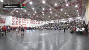 215 lbs Cons. Round 5 - Paul Gallo, Brecksville B vs Christien Hannahs, Barnesville