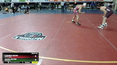 133 lbs Quarterfinal - Conner Nevin, Upper Iowa vs Gavin Hilyar, Augsburg