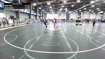 182 lbs Consi Of 16 #2 - Trent True, NY vs Caleb Cross, GA
