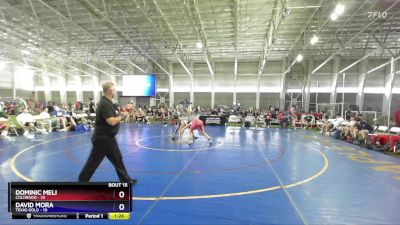 144 lbs Placement Matches (8 Team) - Dominic Meli, Colorado vs David Mora, Texas Gold