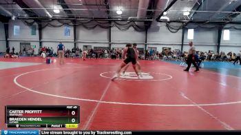 165 lbs Quarterfinal - Braeden Hendel, Luther vs Carter Proffitt, Wartburg