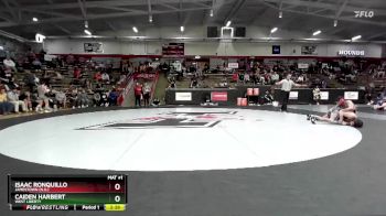 125 lbs Cons. Round 2 - Isaac Ronquillo, Jamestown (N.D.) vs Caiden Harbert, West Liberty
