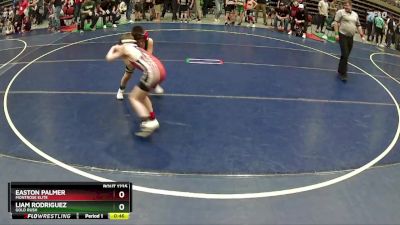 66 lbs Quarterfinal - Easton Palmer, Montrose Elite vs Liam Rodriguez, Gold Rush