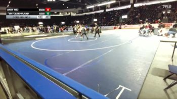 165 lbs Cons. Round 7 - Andy Wei, Mercer Island vs Bryce Rowland, Auburn