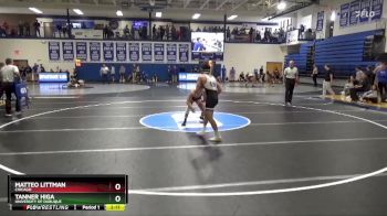133 lbs Champ. Round 1 - Tanner Higa, University Of Dubuque vs Matteo Littman, Chicago