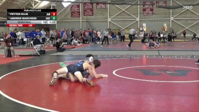 133 lbs Semifinal - Andrew Marchese, Castleton vs Peyton Ellis, Johnson & Wales (RI)