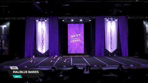 MALIBLUE BABIES [2026 Day 1 Tiny] 2026 Next Level Grand Nationals