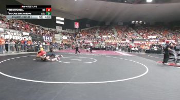 175 lbs Champ. Round 1 - Dodge Browning, Osawatomie HS vs DJ Mitchell, El Dorado HS