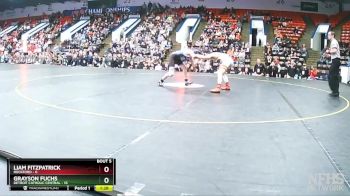 132 lbs Semifinals (8 Team) - Grayson Fuchs, Detroit Catholic Central vs Liam Fitzpatrick, Rockford