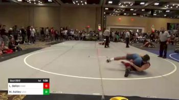 137 lbs Semifinal - Luis Bellon, Somerset vs Mercer Ashley, Lovejoy