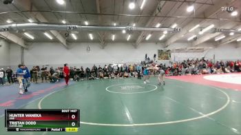 132 lbs Cons. Round 7 - Hunter Waneka, Erie vs Tristan Dodd, Cleveland