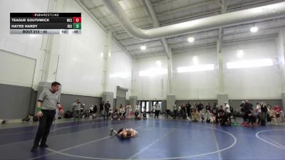 45 lbs Cons. Round 3 - Hayes Hardy, Box Elder Stingers vs Teague Southwick, Westlake
