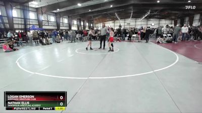 95 lbs Quarterfinal - Nathan Ellis, Sanderson Wrestling Academy vs Logan Emerson, Northside Wrestling Club