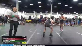 120 lbs Round 2 (8 Team) - Henrique Ribeiro, Yale Street vs Anthony Viscido, Iron Horse Gray
