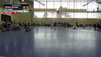 149 lbs Quarterfinal - Michael Galloway, Harper College vs Tate Turner, Hawkeye Community College