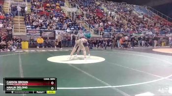 138 lbs Cons. Semi - Carson Brown, Pembina County North vs Havlin DeLong, Northern Lights