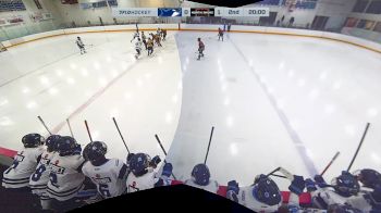 Replay: Home - 2024 PCHA White vs NSW Orange | Jan 20 @ 3 PM