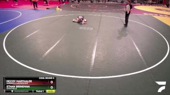 75 lbs Cons. Round 3 - Ethan Brinkman, Little Falls vs McCoy Marthaler, Marshall/Lakeview/RTR