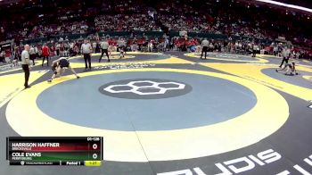 D1-126 lbs Quarterfinal - Cole Evans, Perrysburg vs Harrison Haffner, Brecksville