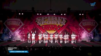 Strive Allstars - Gold [2025 L4.2 Senior Coed - D2 Day 2] 2025 Spirit Sports Myrtle Beach Nationals
