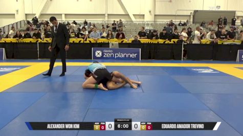 Eduardo Amador Trevino vs Alexander Won Kim 2025 World IBJJF Jiu-Jitsu No-Gi Championship