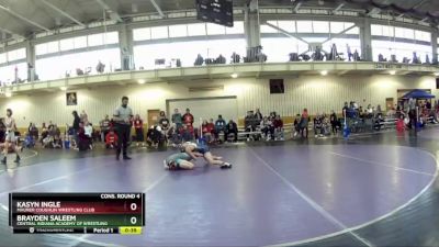 87 lbs Cons. Round 4 - Kasyn Ingle, Maurer Coughlin Wrestling Club vs Brayden Saleem, Central Indiana Academy Of Wrestling