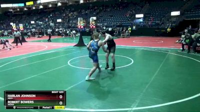 180 lbs Quarterfinal - Harlan Johnson, SGO1 vs Robert Bowers, WEWA