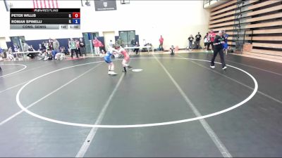 74 lbs Cons. Semis - Peter Willis, IL vs Roman Spinelli, IL